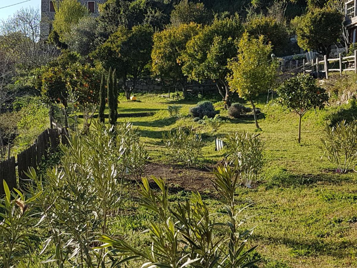La Villa Guidi Pila-Canale Esterno foto