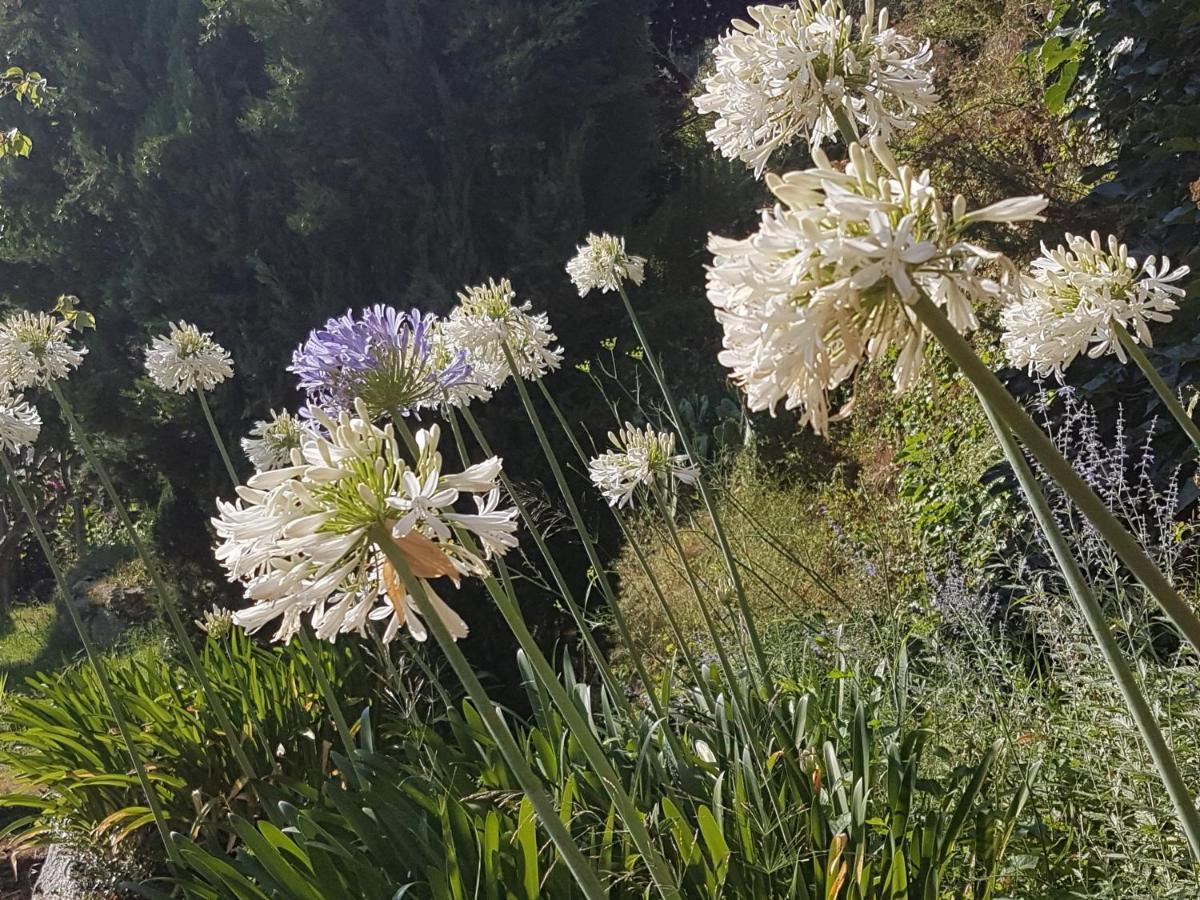 La Villa Guidi Pila-Canale Esterno foto