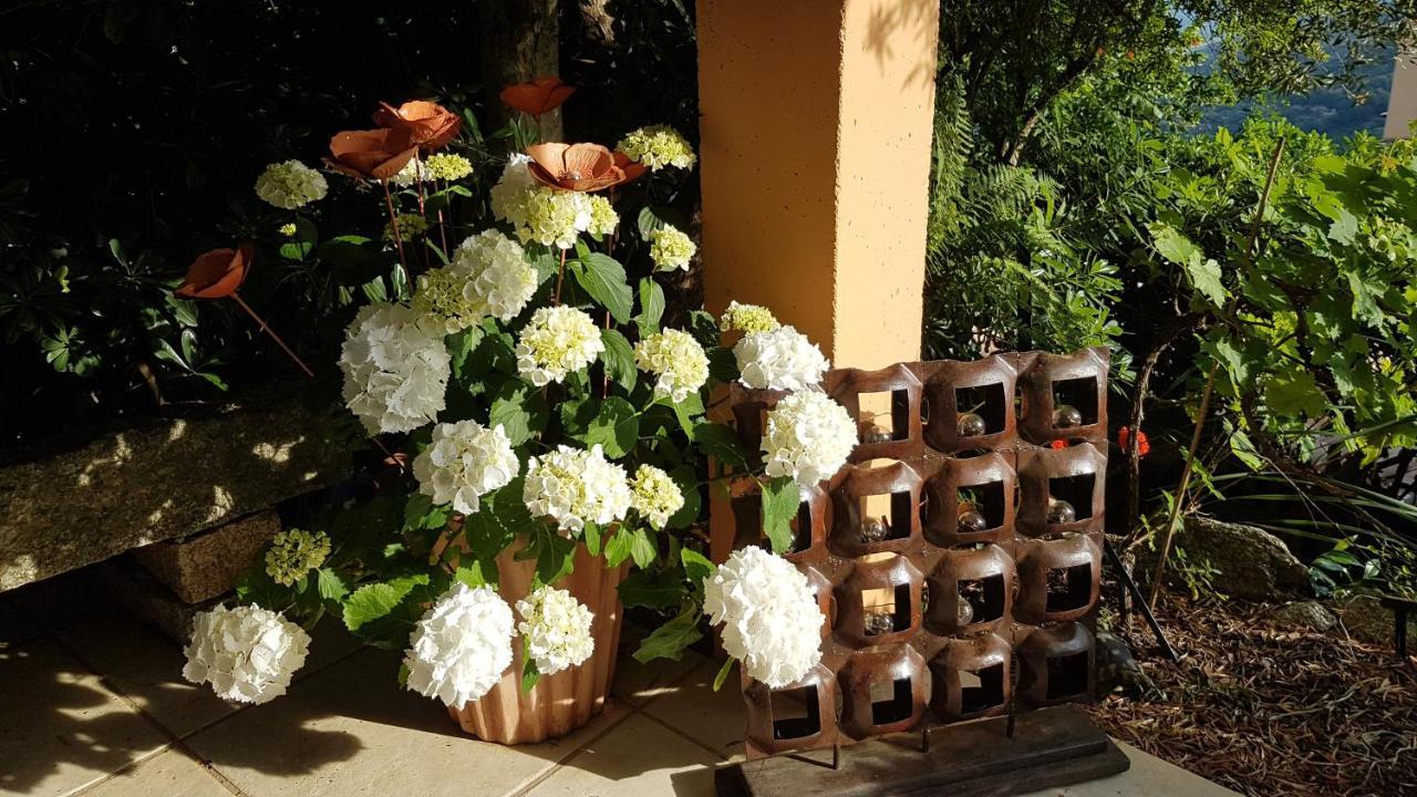 La Villa Guidi Pila-Canale Esterno foto