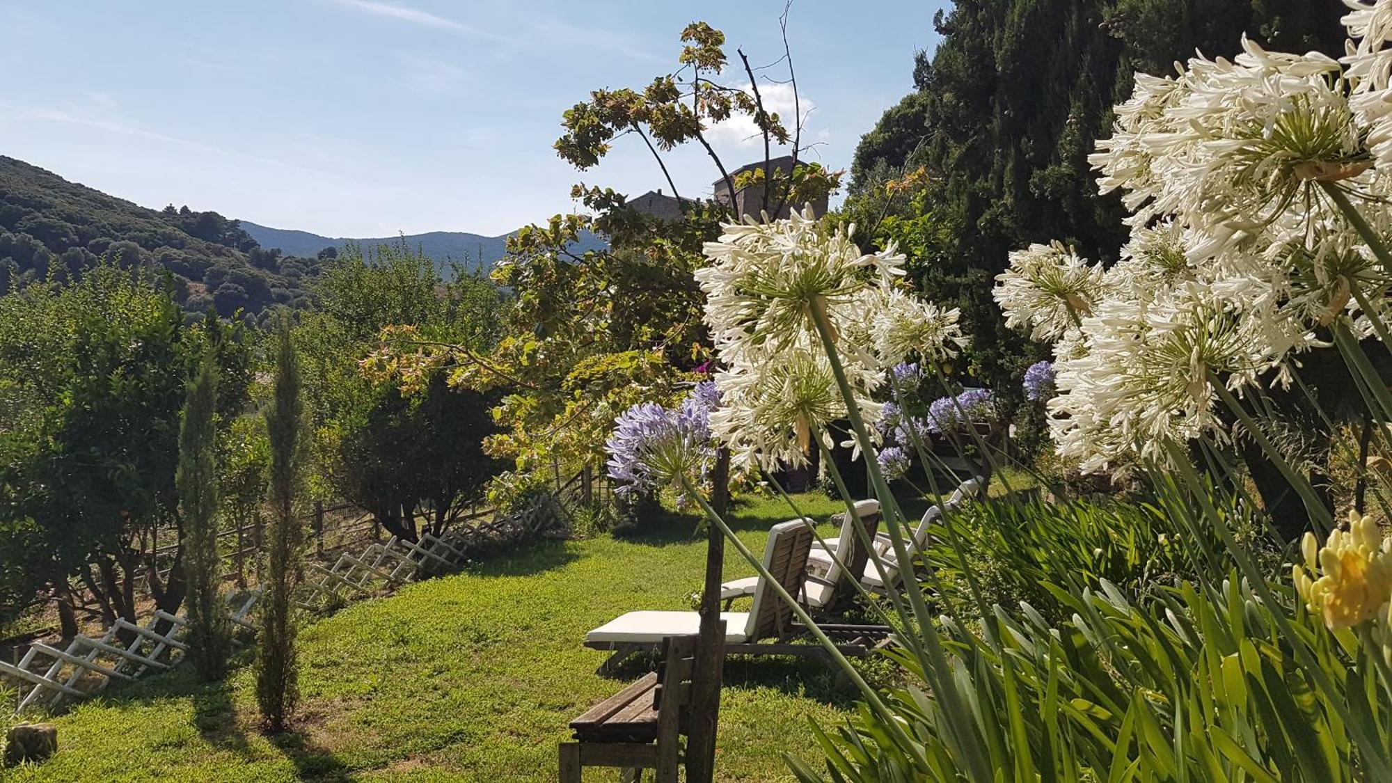 La Villa Guidi Pila-Canale Esterno foto